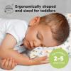 imageToddler Pillow with Pillowcase  13x18 My Little Dreamy Kids Travel Bed Pillows for Sleeping Organic Cotton Small Pillowcase Soft ampamp Breathable Machine Washable Toddlers 25 Years Old Soft WhiteRoarsome