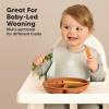 imageKeaBabies Suction Plates with Lids for Baby  3Pack 100 Silicone Toddler Plates with Suction Divided BPAFree Baby Led Weaning Essentials for Kids Dishwasher Microwave Safe Durable SlateHarvest