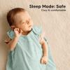image2Pack Organic Baby Sleep Sacks 100 Cotton  Soft ampamp Breathable 05TOG Baby Wearable Blanket Toddler Sleeping Sack 1824 months Easy to Wear Transitional Swaddles for Newborns InfantsGlacier LBunnies