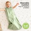 image2Pack Organic Baby Sleep Sacks 100 Cotton  Soft ampamp Breathable 05TOG Baby Wearable Blanket Toddler Sleeping Sack 1824 months Easy to Wear Transitional Swaddles for Newborns InfantsGlacier LRoarsome