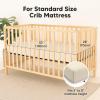image2Pack Waterproof Baby Crib Sheets for Boys Girls  52x28 Viscose Derived from Bamboo Toddler Bed Sheet Neutral Fitted Crib Mattress Protector Cover for Baby Bedding Soft ampamp Gentle EcruEcru