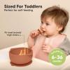 imageKeaBabies 2Pack Baby Bowls with Suctions Lids  Silicone Toddler Suction Bowls for Baby Boy Girl Kids Food Grade Silicone BPAFree Dishwasher Safe Toddler Eating Essentials DesertTerracotta