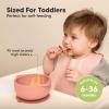 imageKeaBabies 2Pack Baby Bowls with Suctions Lids  Silicone Toddler Suction Bowls for Baby Boy Girl Kids Food Grade Silicone BPAFree Dishwasher Safe Toddler Eating Essentials DesertRoseate
