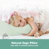 imageKeaBabies 2Pack Toddler Pillow 13x18  Soft Organic Cotton Kids Travel Bed Pillows for Sleeping School Nap Machine Washable Toddlers 2 to 5 Pillowcase Sold Separately HeartsSage