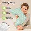 imageKeaBabies 2Pack Toddler Pillow 13x18  Soft Organic Cotton Kids Travel Bed Pillows for Sleeping School Nap Machine Washable Toddlers 2 to 5 Pillowcase Sold Separately HeartsDinoland